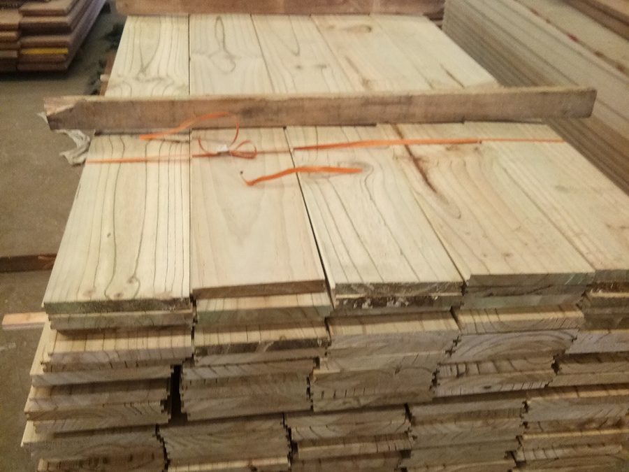 ไม้สนอเมริกาและสนนิวซีแลนด์